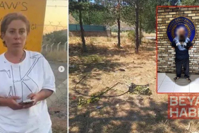 Dernek başkanı hayvansever Mutlu’nun öldürülmesiyle ilgili ağabeyi ve 4 kişi tutuklandı