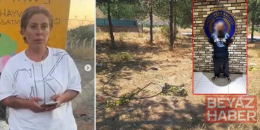 Dernek başkanı hayvansever Mutlu’nun öldürülmesiyle ilgili ağabeyi ve 4 kişi tutuklandı