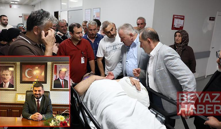 Arı kovanlarının bakımını yaparken iskeleden düşen belediye başkanı yaralandı