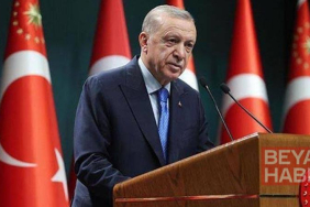 Cumhurbaşkanı Erdoğan, Avusturya Şansölyesi Stocker