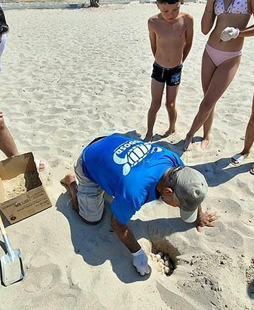 Deniz suyunda kalan 68 caretta caretta yumurtası korumaya alındı