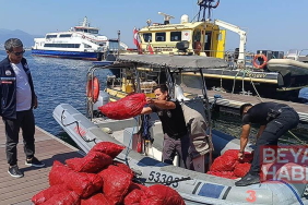 İzmir’de yasa dışı yollarla avlanılan 560 kilo kara midyeye el konuldu