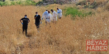 Şanlıurfa’da tarlada erkek cesedi bulundu