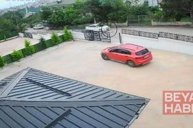 Ordu’da otomobilin çarptığı köpek öldü; 10 yaşındaki kız bayıldı