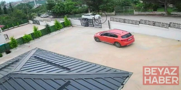 Ordu’da otomobilin çarptığı köpek öldü; 10 yaşındaki kız bayıldı