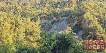Otomobil, 50 metre yükseklikten dere yatağına düştü: 1 ölü, 1 yaralı