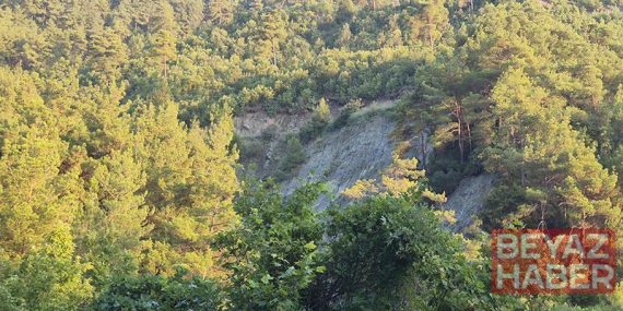 Otomobil, 50 metre yükseklikten dere yatağına düştü: 1 ölü, 1 yaralı