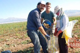 Niğde