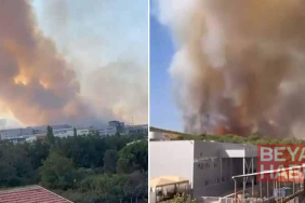 Bursa’da orman yangını
