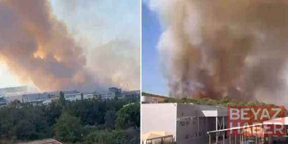 Bursa’da orman yangını
