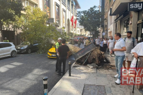 Şişli’de ağaç devrildi; yol trafiğe kapandı
