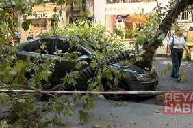 Şişli’de çınar ağacı 2 aracın üzerine devrildi