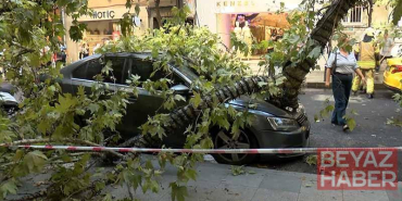 Şişli’de çınar ağacı 2 aracın üzerine devrildi