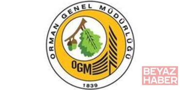 OGM: Antalya Manavgat’ta meydana gelen yangını, yoğun mücadele sonucunda kontrol altına aldık