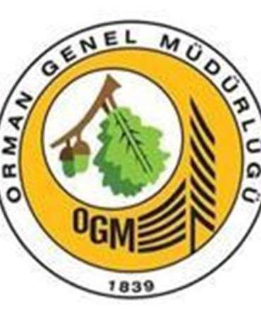 OGM: Antalya Manavgat’ta meydana gelen yangını, yoğun mücadele sonucunda kontrol altına aldık