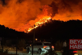 Fethiye'de orman yangını! Evler tahliye edildi