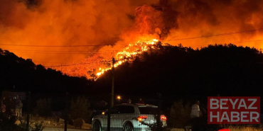 Fethiye'de orman yangını! Evler tahliye edildi