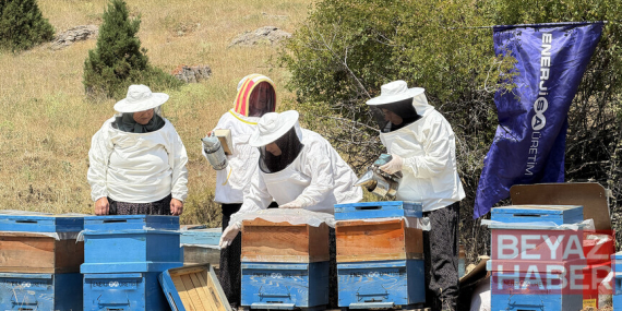 Kovan desteğini fırsata çeviren kadınlar bölgenin zengin florasını bala dönüştürdü