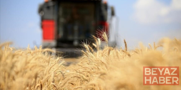 Küresel gıda fiyatları 3,5 yılın zirvesinde