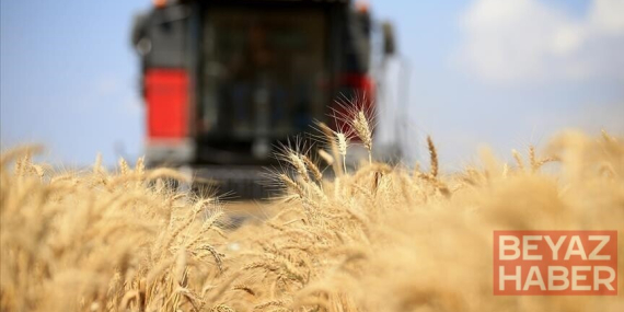 Küresel gıda fiyatları 3,5 yılın zirvesinde