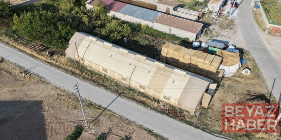 Aksaray'da "Portatif Çadır Ağıl Projesi" sürüyü olumsuz hava koşullarından koruyor
