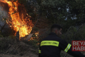 Yunanistan'ın Eğriboz Adası ve Meriç ilinde orman yangınları çıktı
