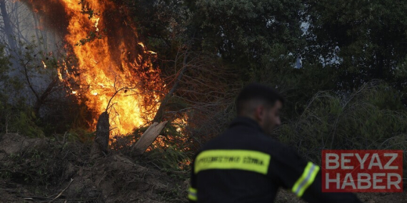 Yunanistan'ın Eğriboz Adası ve Meriç ilinde orman yangınları çıktı