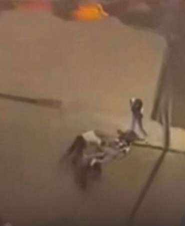 Esenyurt'ta korsan denetiminde polise ateş açıldı: Bir polis ağır yaralı