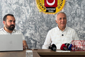 Danıştay,