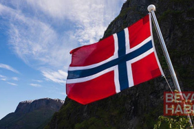 Norveç