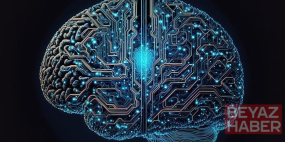 Araştırma: Bilim insanları kafatasının içinde gizlenen yeni bir organ keşfetti