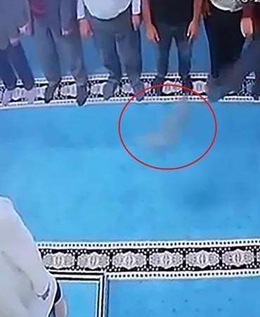 Camide kediye tekme atan kişi gözaltına alındı
