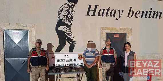 Göç yolundaki 7 arı şahinini vuran avcıya 1 milyon 356 bin TL’lik ceza
