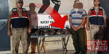 Vurduğu kuşlar koruma altındaydı | Yaptığının faturası ağır oldu: 1 milyon 356 bin TL ceza kesildi