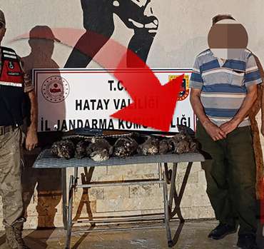 Vurduğu kuşlar koruma altındaydı | Yaptığının faturası ağır oldu: 1 milyon 356 bin TL ceza kesildi