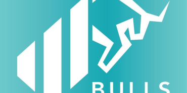 Bulls Portföy