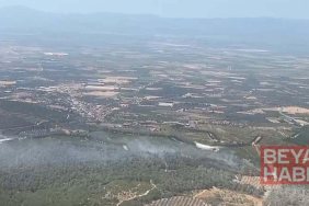 Manisa