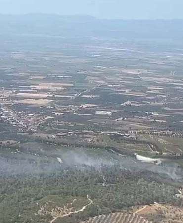 Manisa