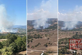 Bursa’da orman yangını