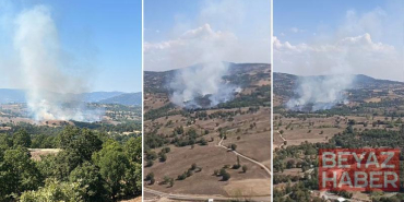 Bursa’da orman yangını