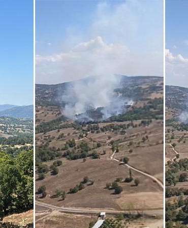 Bursa’da orman yangını