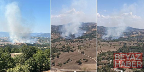 Bursa’da orman yangını
