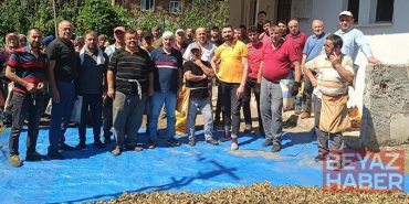 Ölen kız kardeşlerin bahçesindeki fındığın hasadını imece usulü mahalleli yaptı