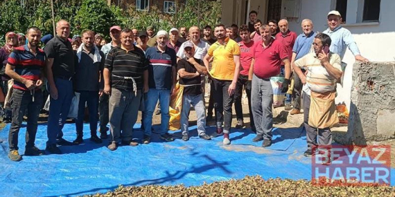 Ölen kız kardeşlerin bahçesindeki fındığın hasadını imece usulü mahalleli yaptı