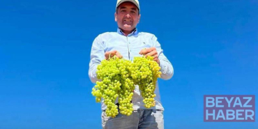 Saruhanlı Belediye Başkanı Cıllı, üzüm serme makinesiyle çalışırken elinden yaralandı