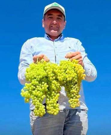 Saruhanlı Belediye Başkanı Cıllı, üzüm serme makinesiyle çalışırken elinden yaralandı