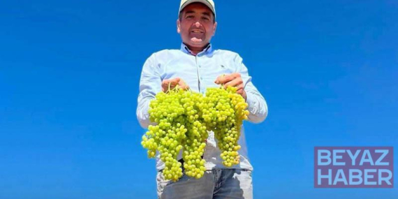 Saruhanlı Belediye Başkanı Cıllı, üzüm serme makinesiyle çalışırken elinden yaralandı