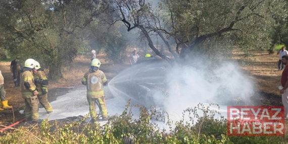 Zeytin ağacına çarpan otomobil yandı; 1 ölü, 1’i çocuk 5 yaralı