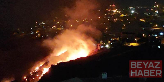 Mardin’de çıkan örtü yangını kontrol altına alındı