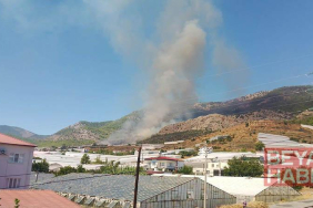 Mersin’de orman yangını